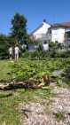 IMG-20260704-WA0006