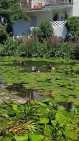 IMG-20260704-WA0007