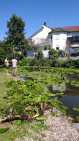 IMG-20260704-WA0008