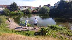 IMG-20260704-WA0016