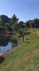 IMG-20260704-WA0017