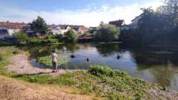 IMG-20260704-WA0018
