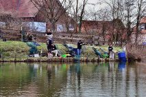 Bild2