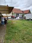 IMG-20250418-WA0017