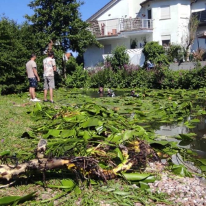 IMG-20260704-WA0006