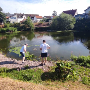 IMG-20260704-WA0016